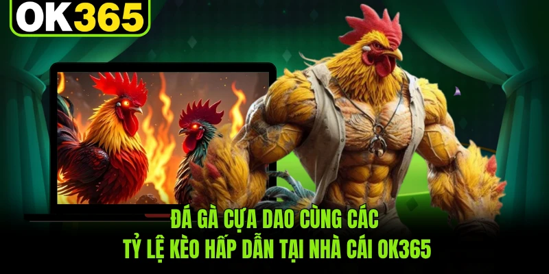 Đá Gà Cựa Dao Cùng Các Tỷ Lệ Kèo Hấp Dẫn Tại Nhà Cái OK365