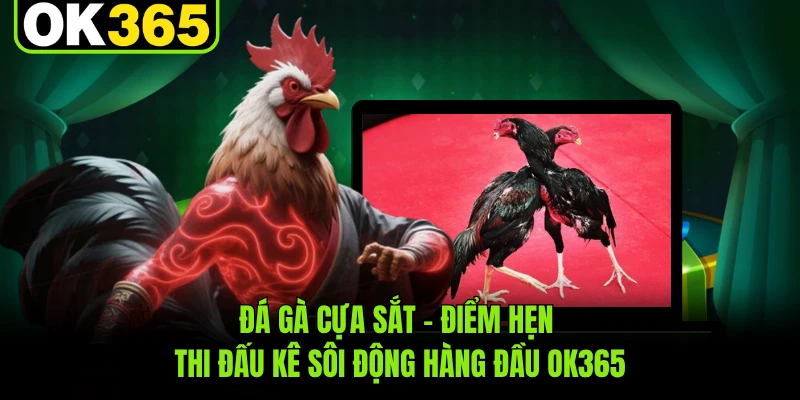 Đá Gà Cựa Sắt - Điểm Hẹn Thi Đấu Kê Sôi Động Hàng Đầu OK365