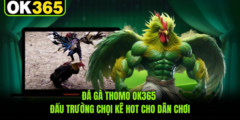 Đá Gà Thomo OK365 - Đấu Trường Chọi Kê Hot Cho Dân Chơi
