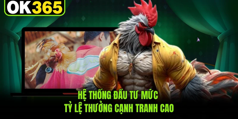 Hệ thống đầu tư mức tỷ lệ thưởng cạnh tranh cao