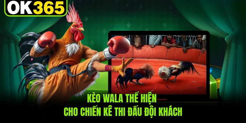 Kèo Wala thể hiện cho chiến kê thi đấu đội khách