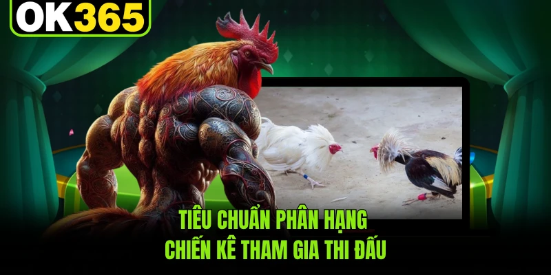 Tiêu chuẩn phân hạng chiến kê tham gia thi đấu